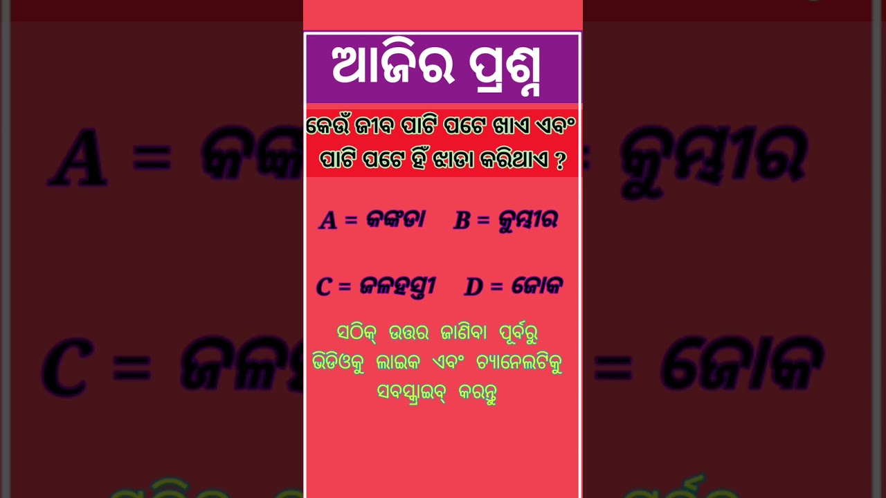 Today Odia GK new  ! #youtubeshort