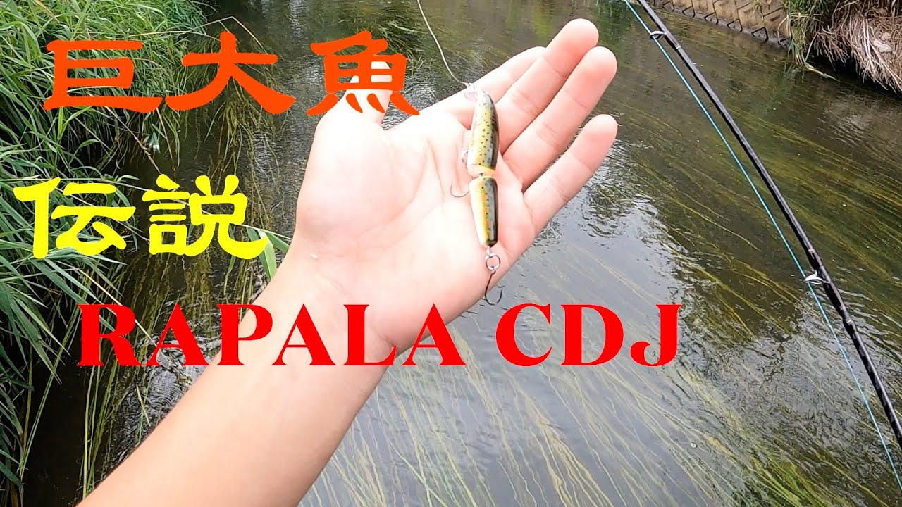 伝説の最強ルアー復活！Rapala cdjを小川で使ってみると巨大な、、、　　＃Rapala #ミノー  #ブラウントラウト