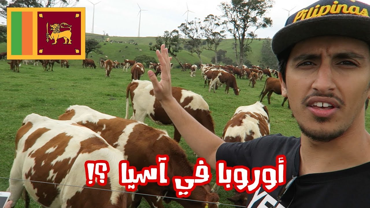 كيف تحصل على الأجواء الأوروبية بأقل تكلفة ؟!