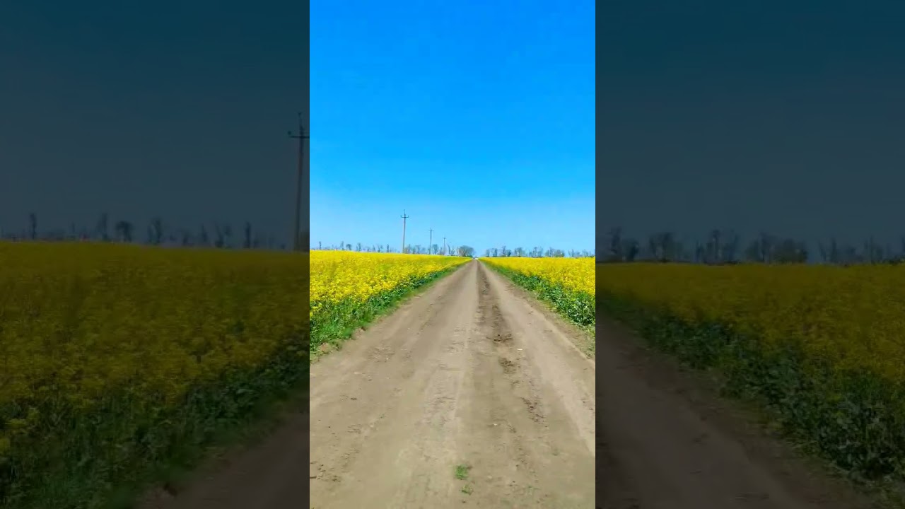 Rural Ukraine, spring, may2025