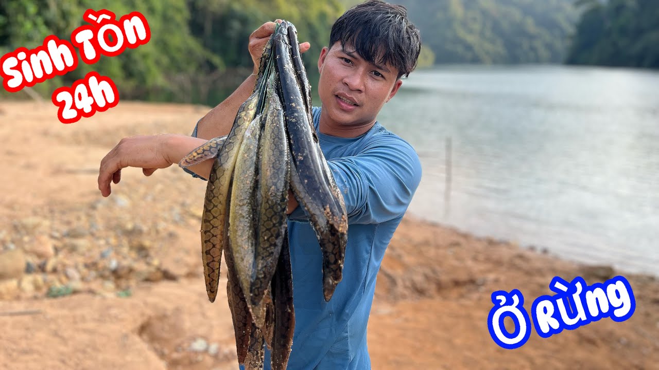 Sinh Tồn 24h Ở Rừng Ku Đen hốt Trọn Ổ Cá Chạch Lấu To giật Căng Cần - survival in the junglei