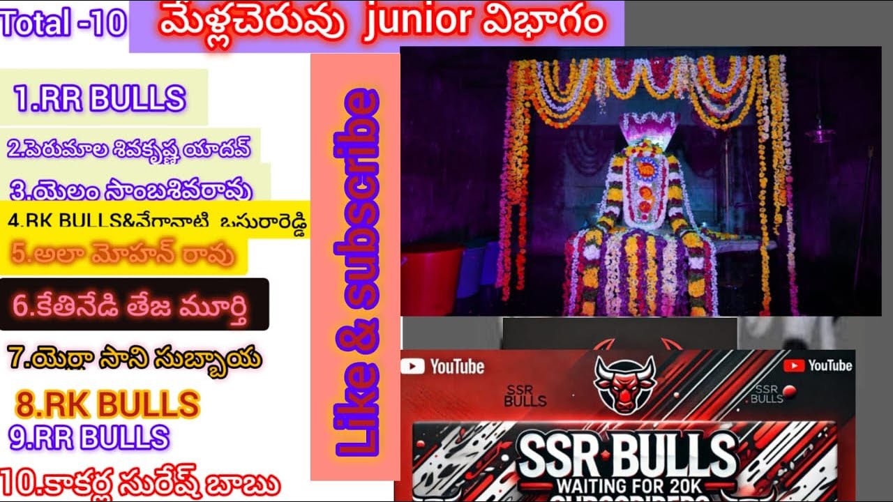 1జత juniors RR BULLS D రోహన్ బాబు గారు HYD (మొండి &జగ  మొండి)