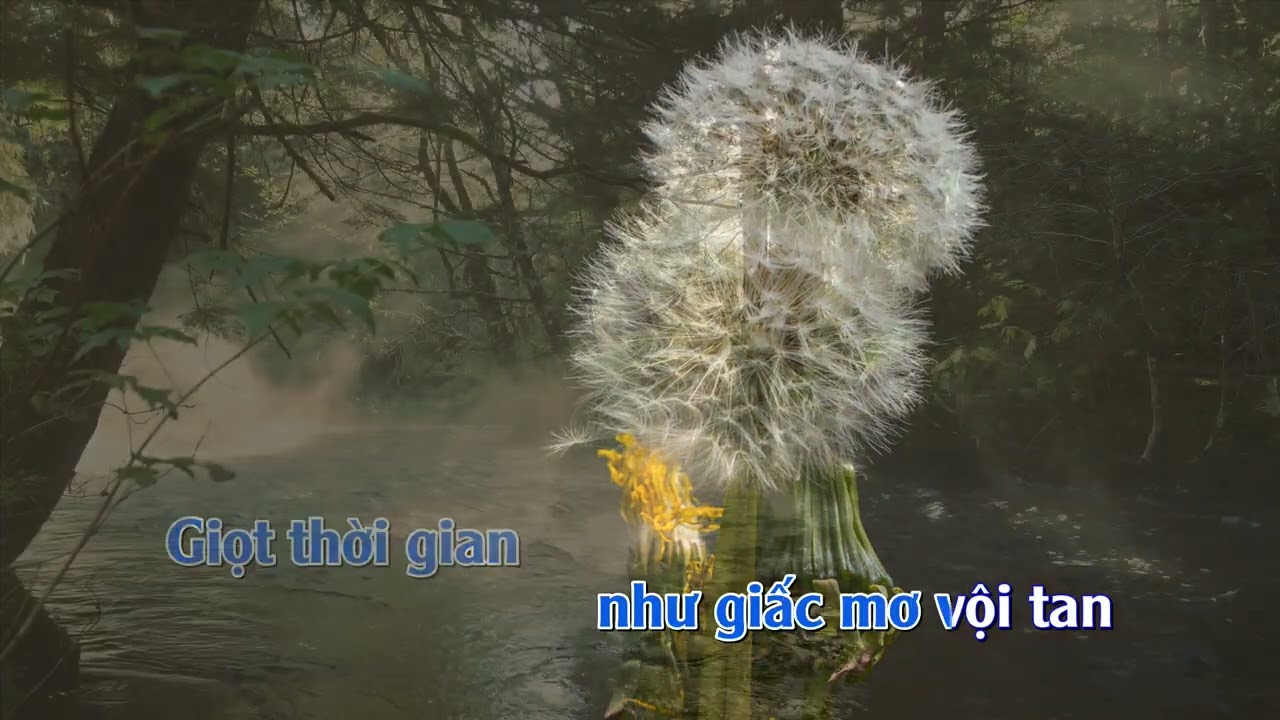 KARAOKE  GIẤC MƠ HỒNG - ĐÀO MINH TÂM - SONG CA