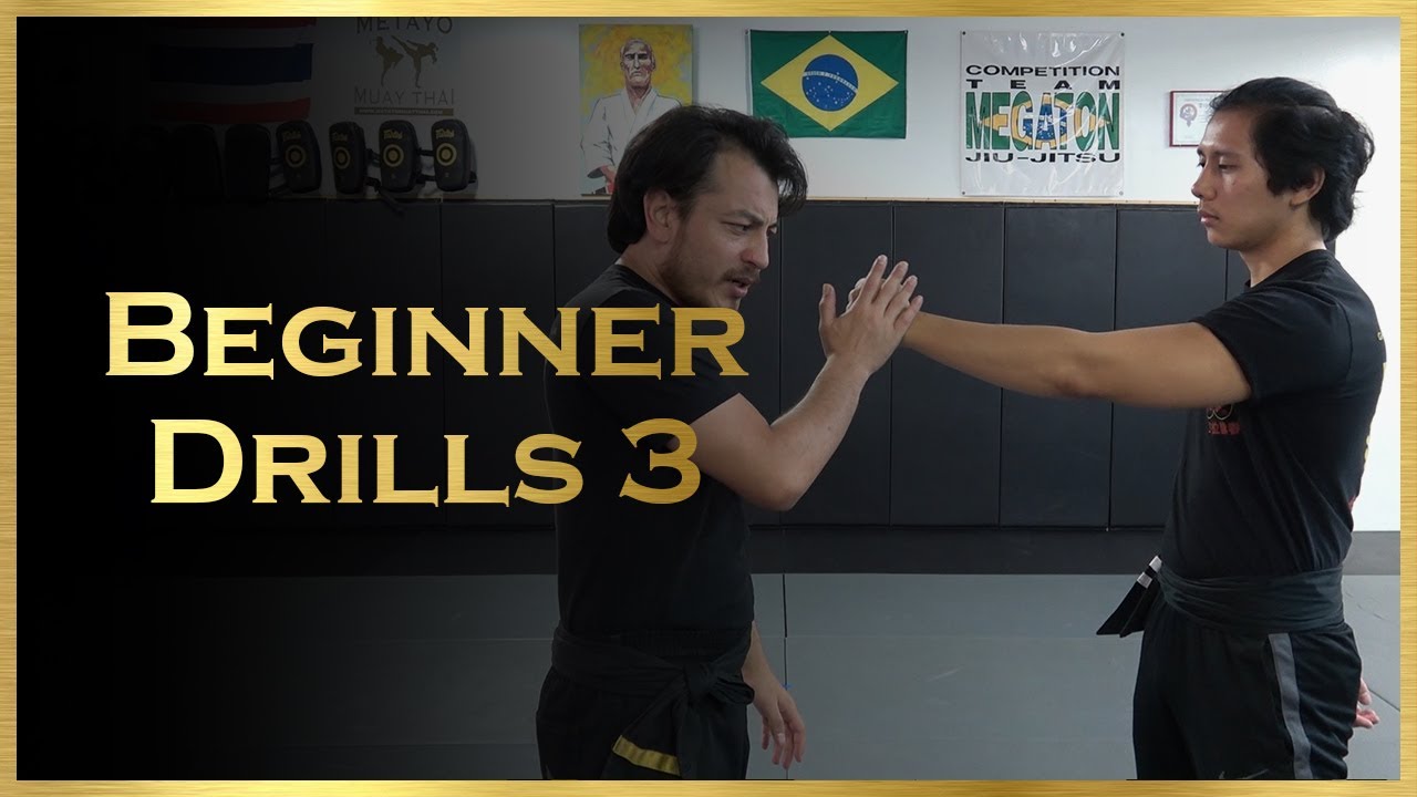 Wing Chun Beginner Drills 3 - Pak Tan