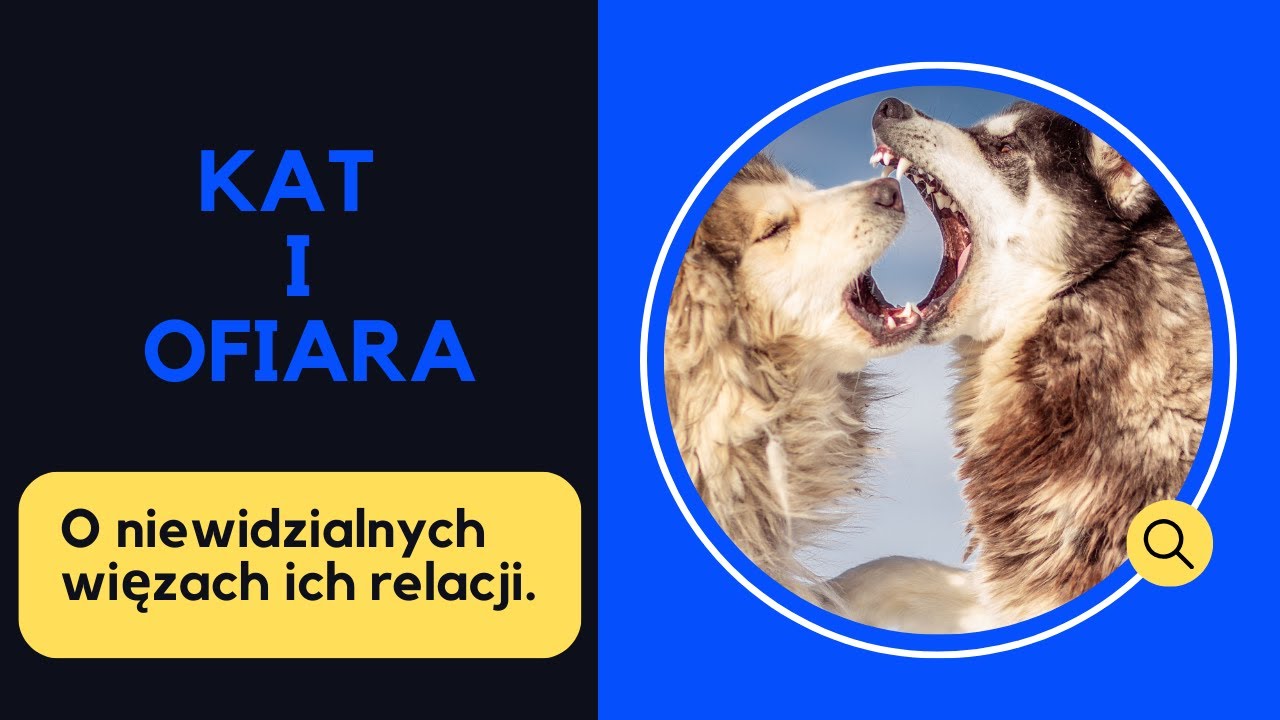 Kat i ofiara #30