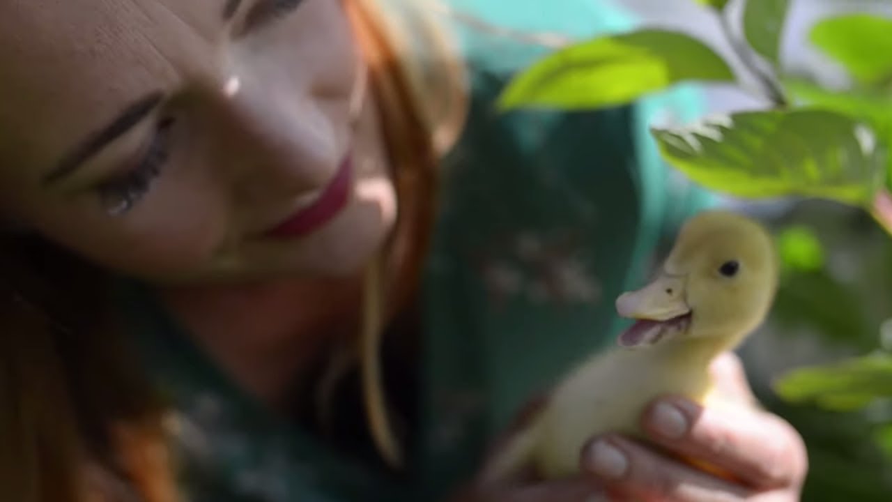 Life with Ducklings | Summer Cottage Gardens | Life in a Cottage Garden