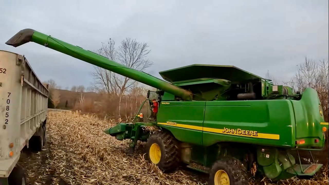 Combine corn! John Deere 9560 STS