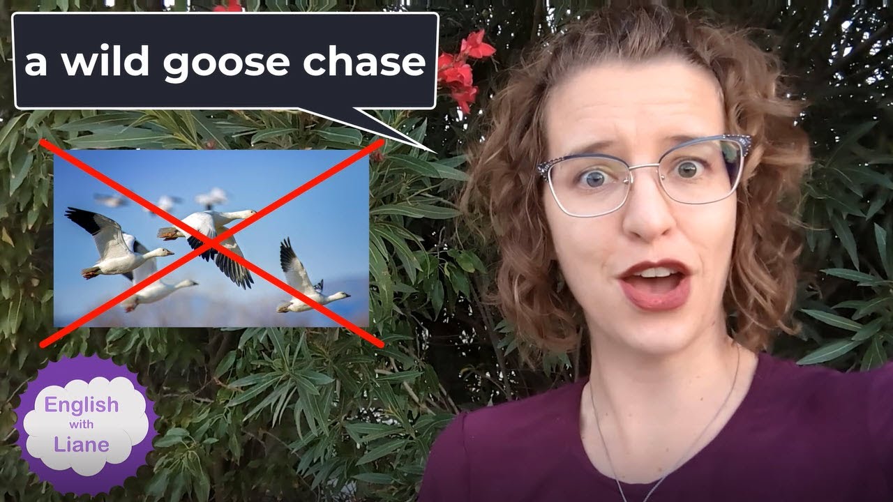 Idiom - a wild goose chase