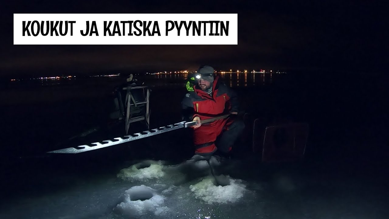 ETSIT&Auml;&Auml;N MERELT&Auml; MADEPAIKKOJA - VIRITET&Auml;&Auml;N KOUKUT JA KATISKA J&Auml;&Auml;N ALLE PYYNTIIN