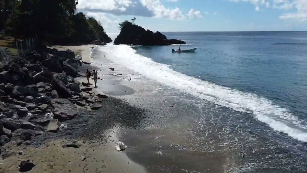 Birdie's Nest, Vacation in Tobago. song via Scouti  Inna Tobago