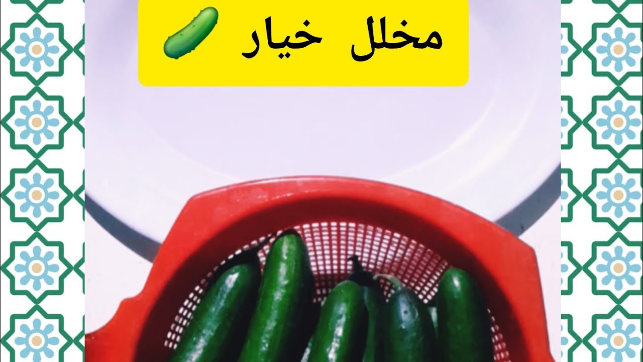 شوفو كيف بعمل مخلل الخيار 🥒🥒🍋🌶#غزة #اكسبلور #الخيمة #لايك 