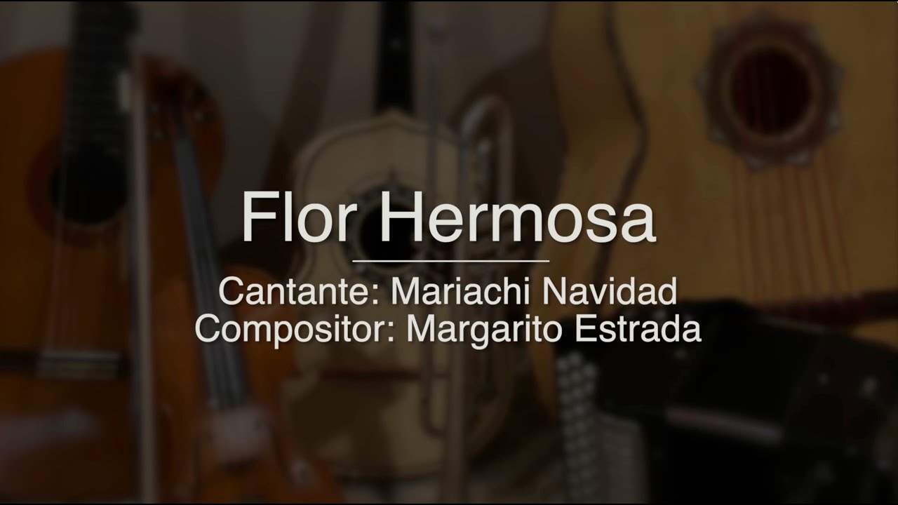 Flor Hermosa - Puro Mariachi Karaoke - Mariachi Navidad, Miguel y Miguel, Banda MS