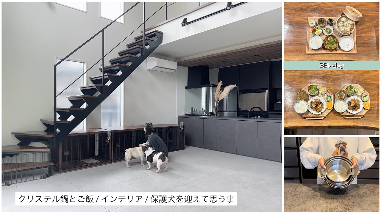 【vlog】クリステル鍋とご飯👩‍🍳インテリア🏡保護犬を迎えて思う事🐷娘とお出かけ🛍️