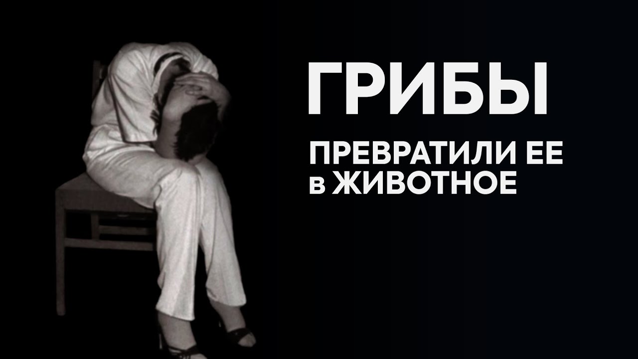 4 грамма грибов превратили её в животное