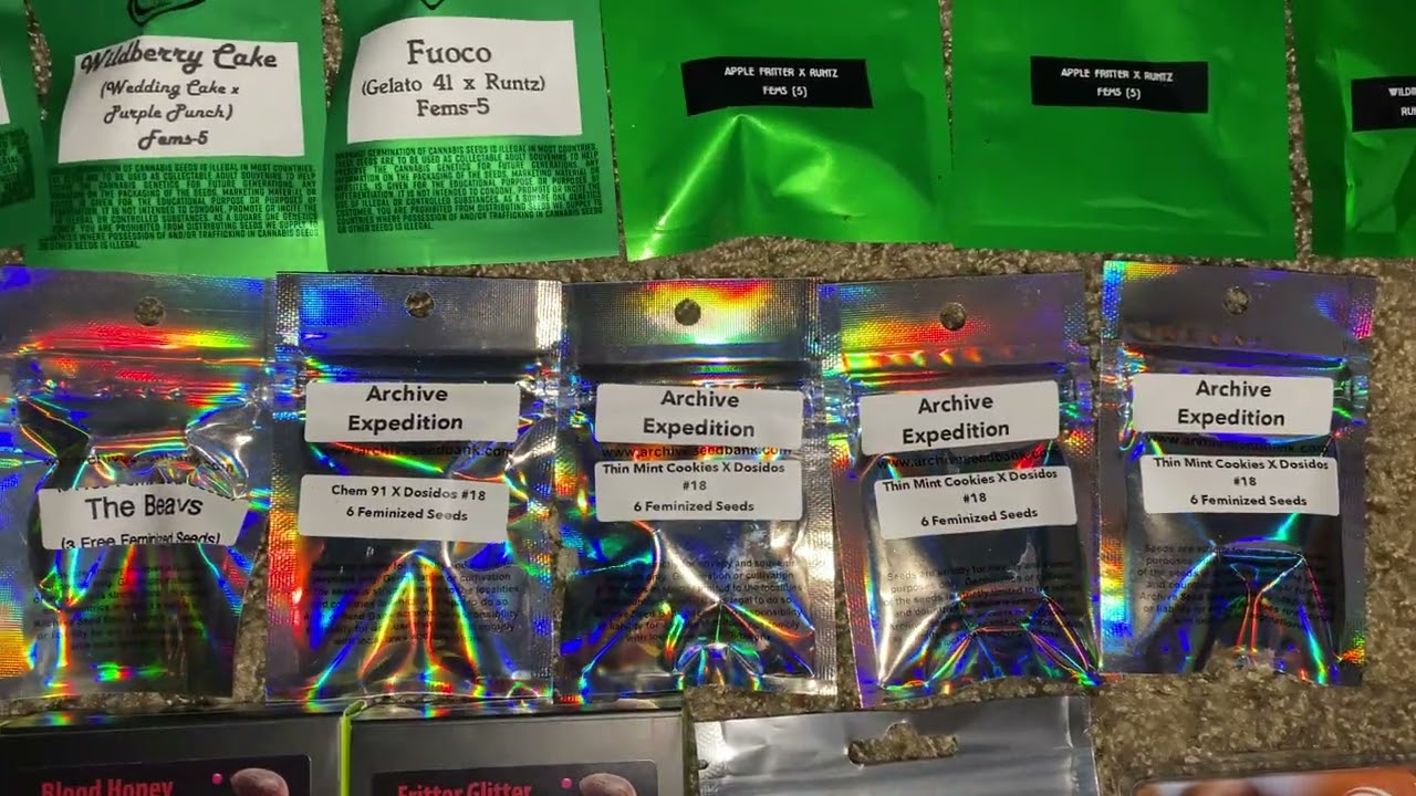 My Cannabis Seed Collection Updated (Exoticgentix, Archive, RobinHood Seeds, Oceangrown Seeds)
