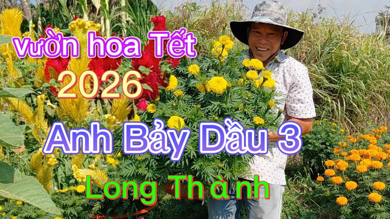 Vườn hoa của anh 7 dầu 3 ấp 3 An Phước. Long Thành