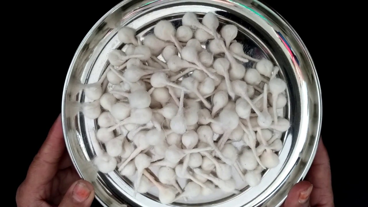 How To Make Cotton Batti | How To Make Cotton Wicks |Diya Aur Batti For Pooja
