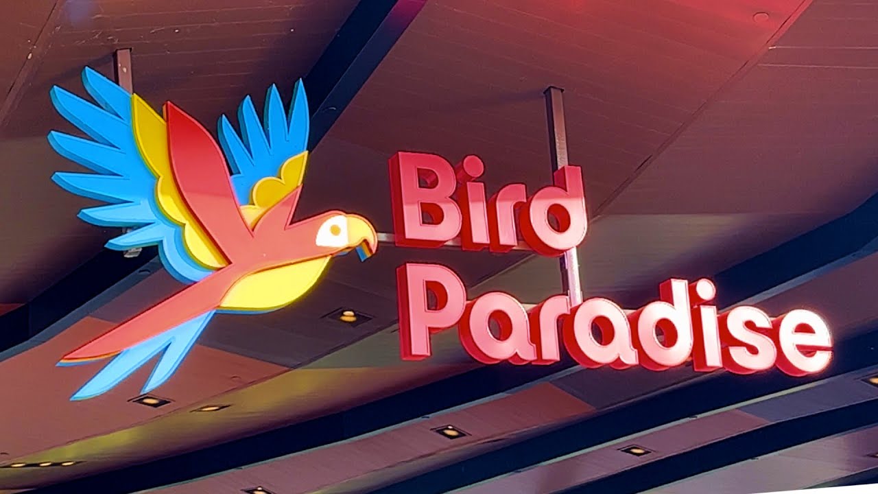 Bird Paradise | Mandai, Singapore
