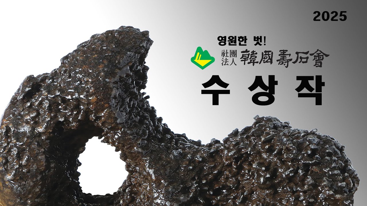 [ 수석의미 ssmtv ] 한국수석회 전국수석대전 수상작 감상.수석 (水石. 壽石.奇石.stone).곽창근(010-5446-4832)