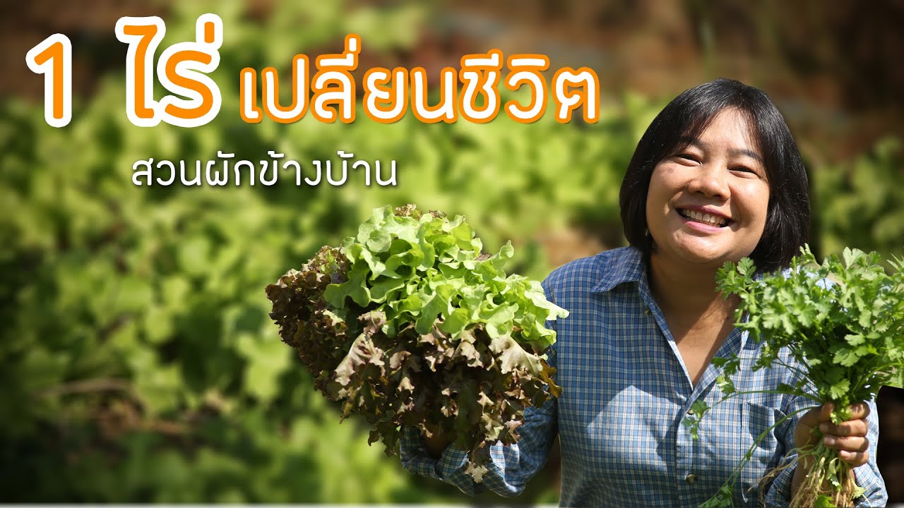 สวนเกษตร 1 ไร่ เปลี่ยนชีวิต