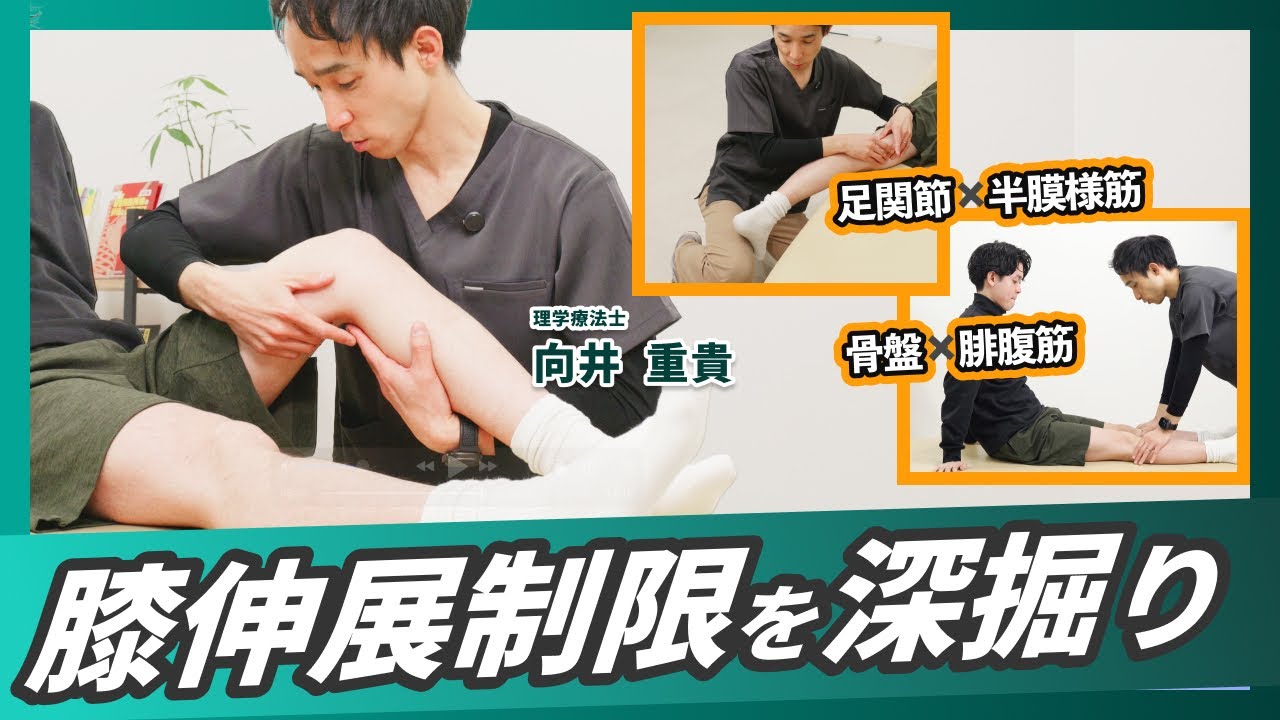 【実技】半膜様筋、腓腹筋の手技公開！