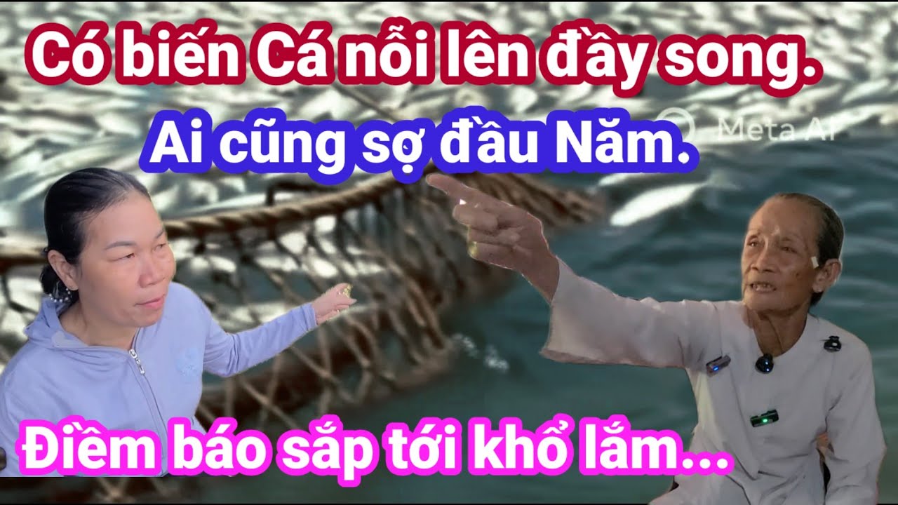 🙏Có biến Cá nỗi lên đầy song. Đầu năm ai cũng sợ.điềm báo sắp tới khổ.🙏 Cho Đời Vlog.