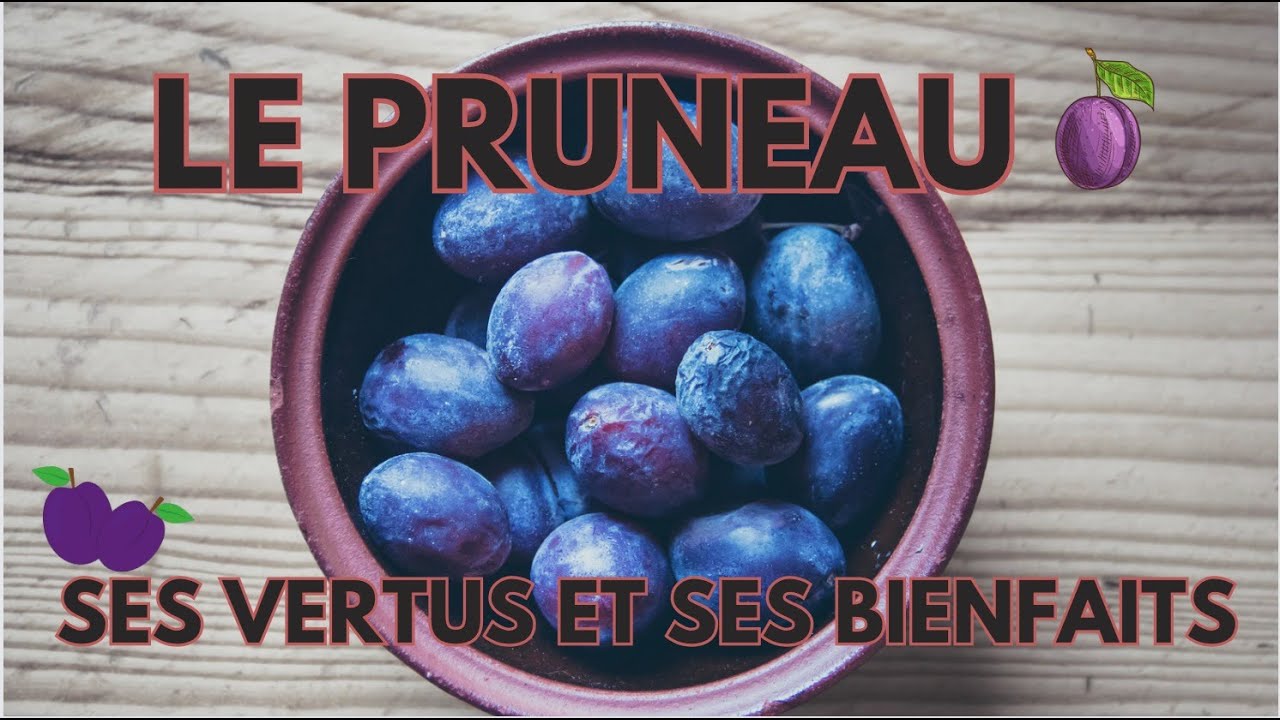 LES BIENFAITS DES PRUNEAUX