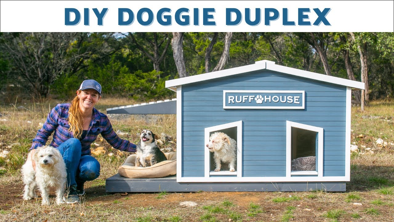 Insulated Dog house for 2 / Roof Opens for Easy Cleaning / Built in One Day!