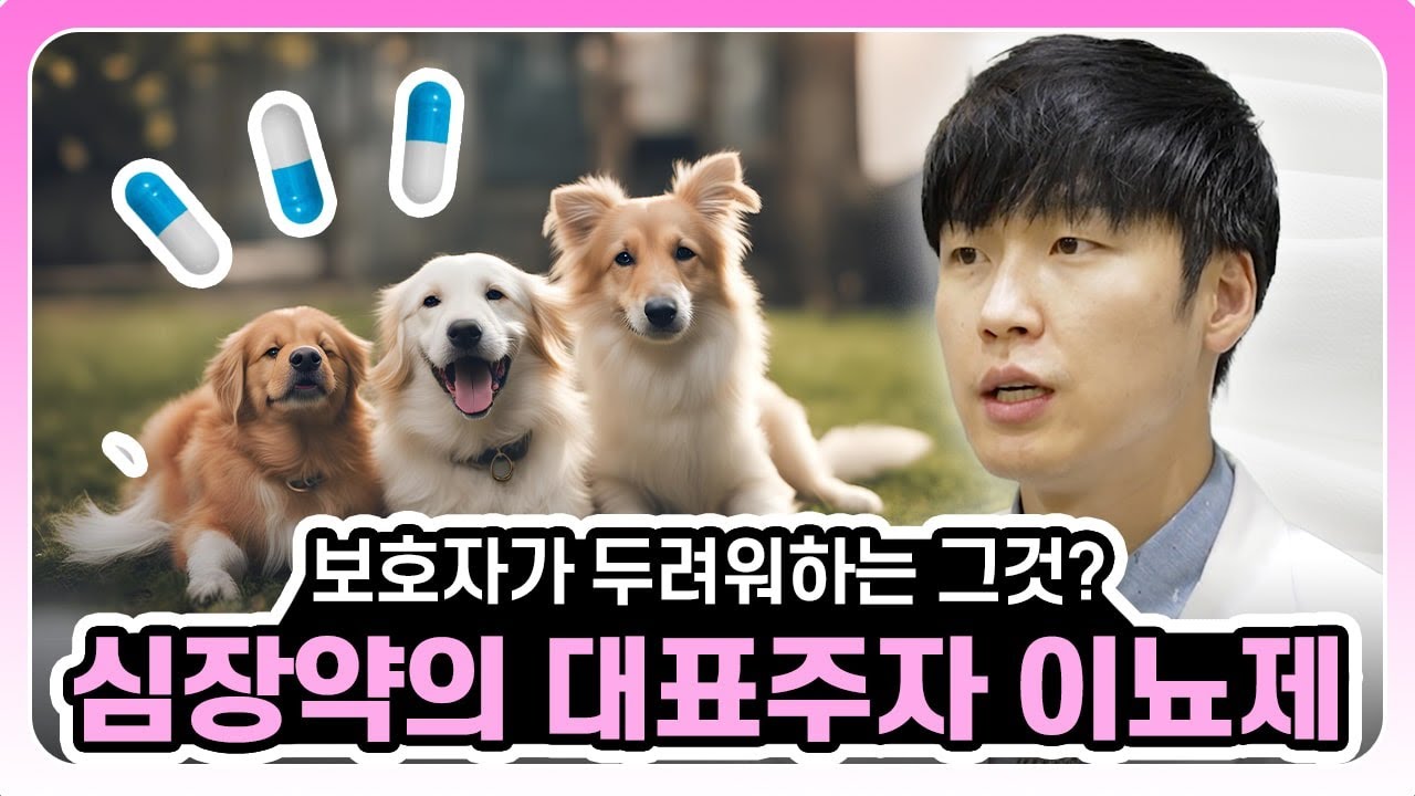 심장약의 대표주자 이뇨제 자세히 알아보자 [우리동네수의사]