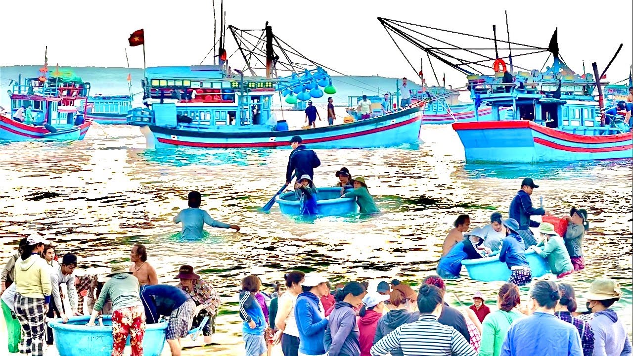 C&aacute; nhảy trắng biển | D&acirc;n l&agrave;ng hỗn loạn tranh gi&agrave;nh 