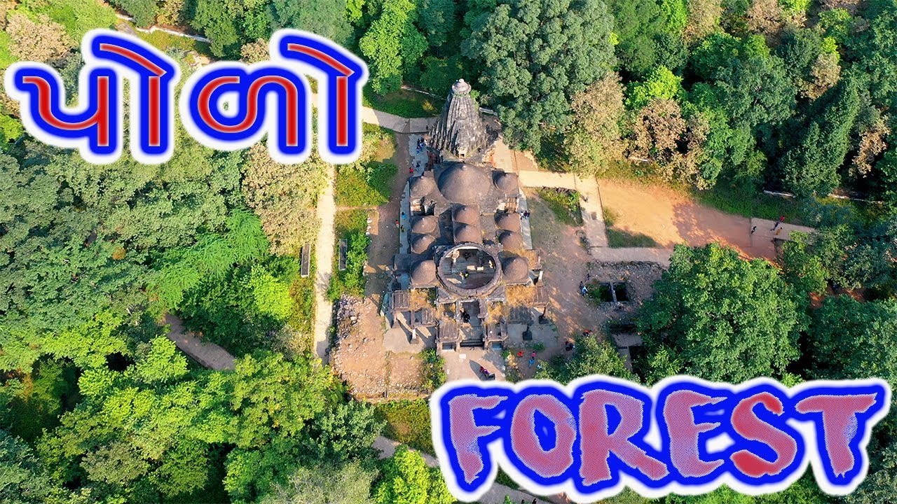 Polo Forest From Sky - drone view  | Gujarat|  Drone View | Vijaynagar | Sabarkantha | Gujarat