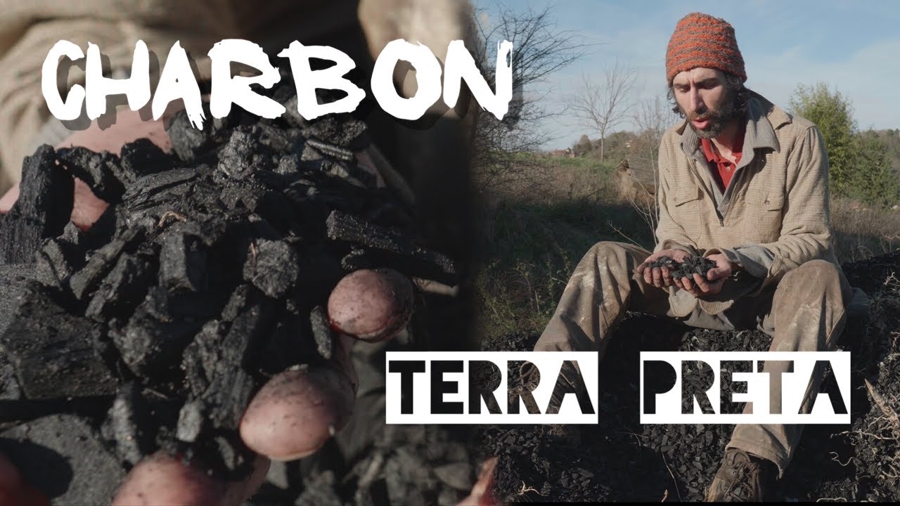Charbon, Terra preta et Sol vivant