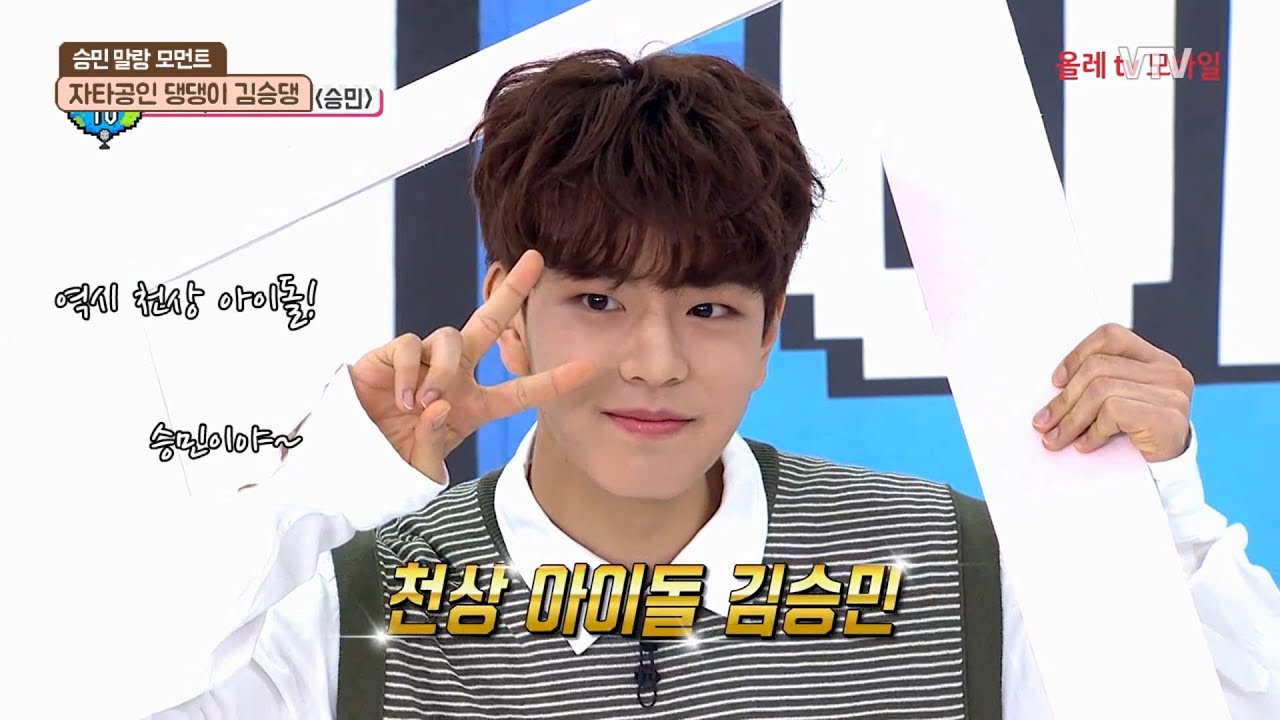 [스트레이키즈/승민] 김승댕 말랑 모먼트