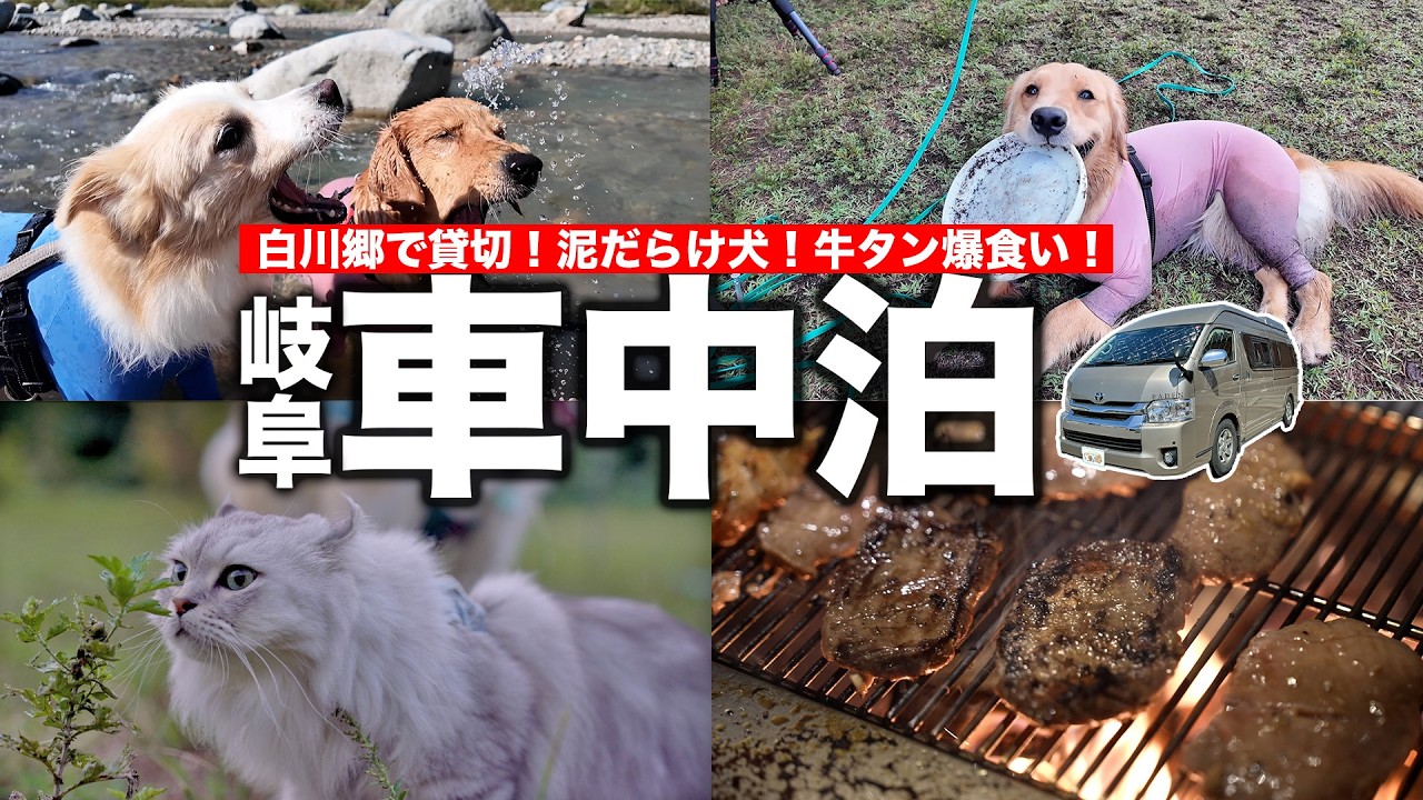 【岐阜1泊２日】白川郷の伝統芸能「どぶろく祭り」に参加しに行ったらトラブル続出して大変だった！【ハイエースキャンピングカー】