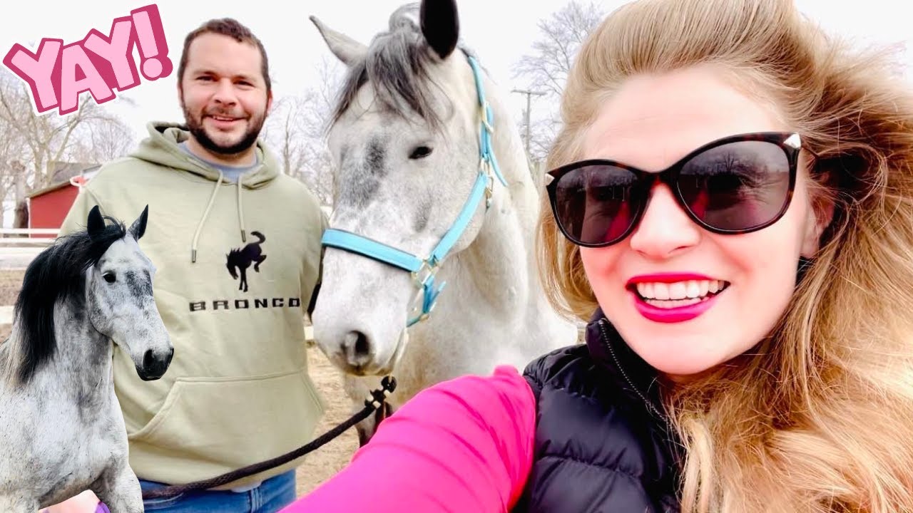 PREGNANT MARE UPDATE! MY BOGO HORSE