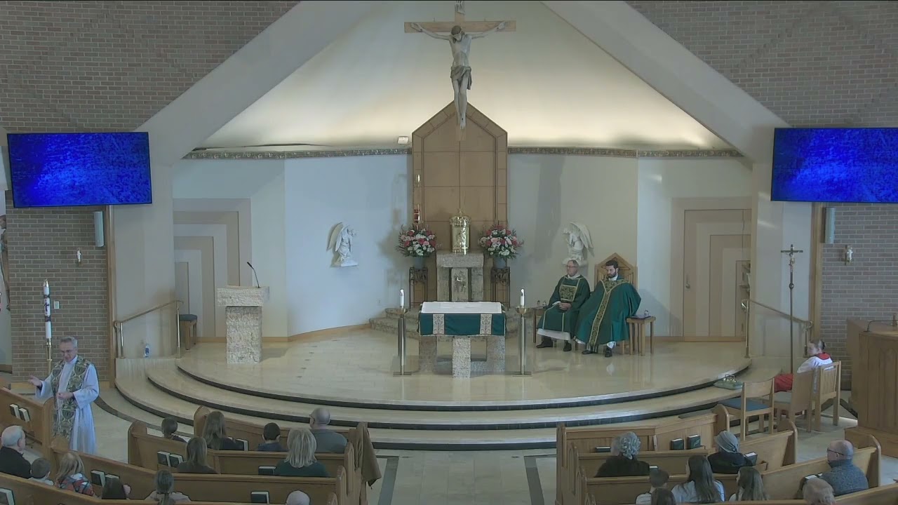 Father Stephen's homily on 2.28.26