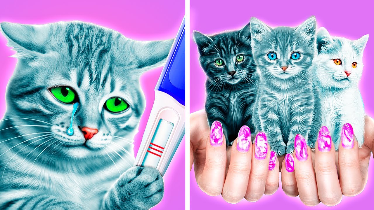 أنقذنا قطة حامل! بنينا غرفة سرية للقطط الصغيرة!