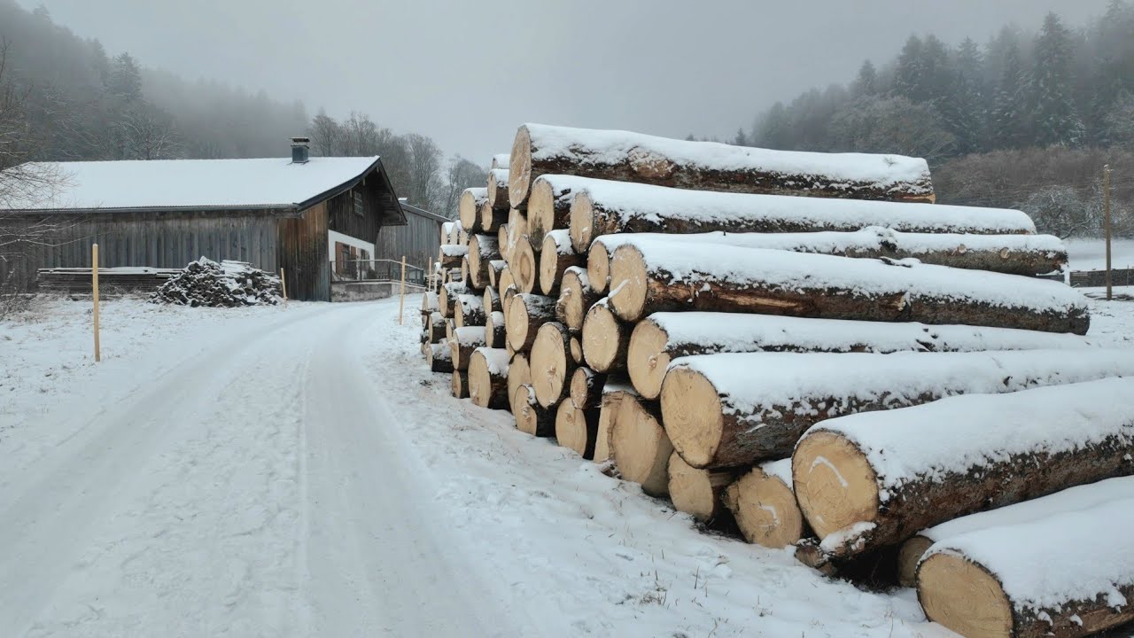Walking in -8°C 🥶 in Alp Village Until I Couldn't Anymore