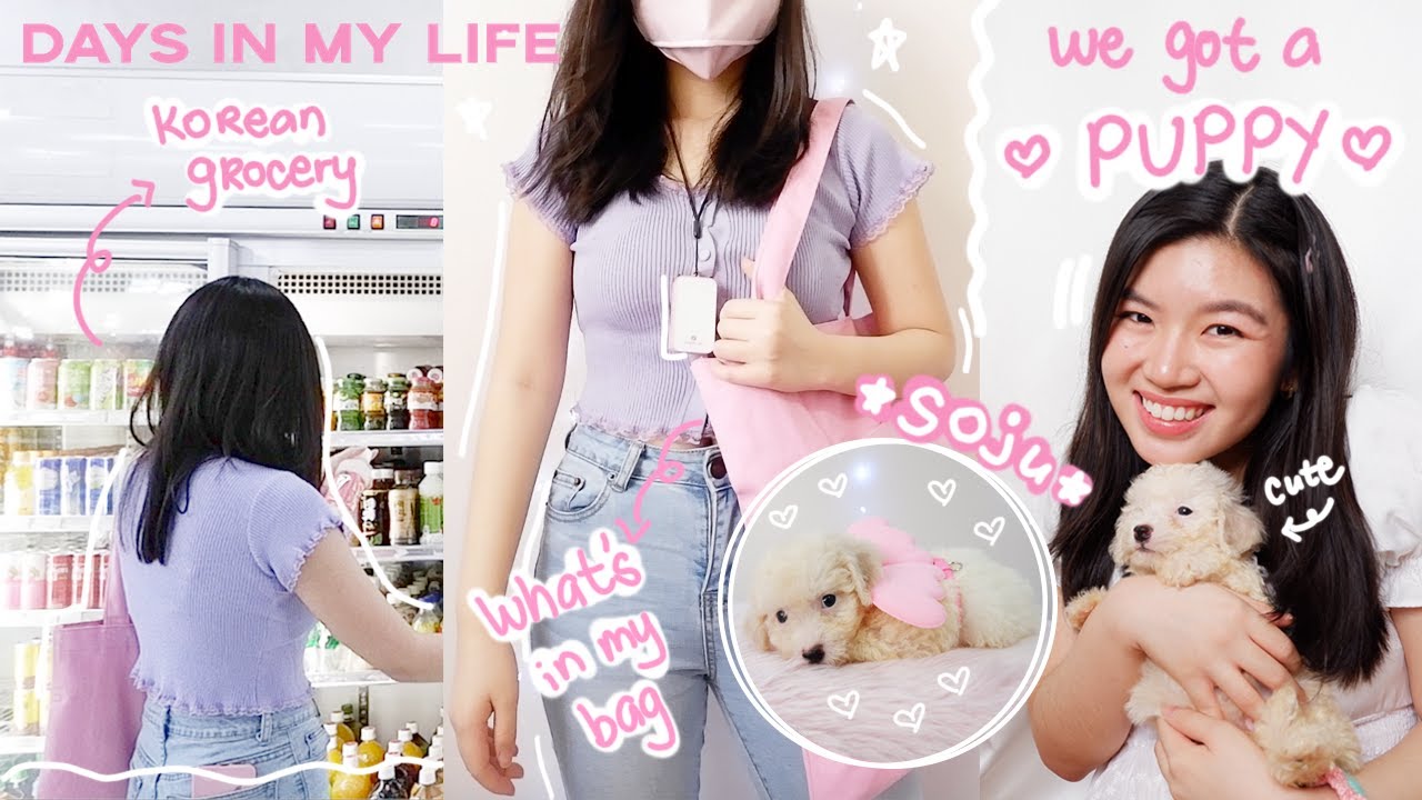 WE FINALLY GOT A PUPPY!!! mini shopee haul for dogs + korean grocery shopping | days in my life
