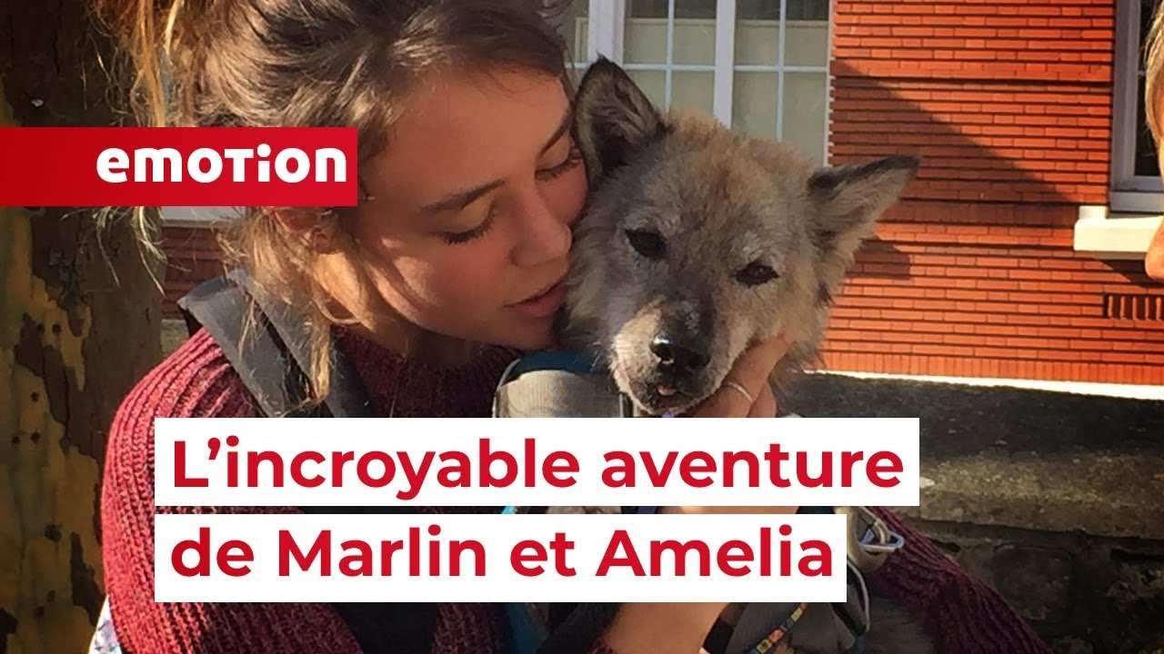 En 2 mois, Marlin a échappé deux fois à la mort