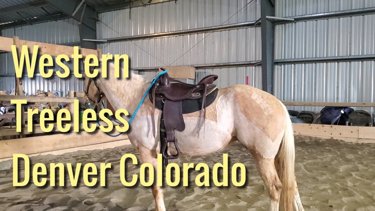 Using the Treeless Western Colorado Denver for the first time - Review