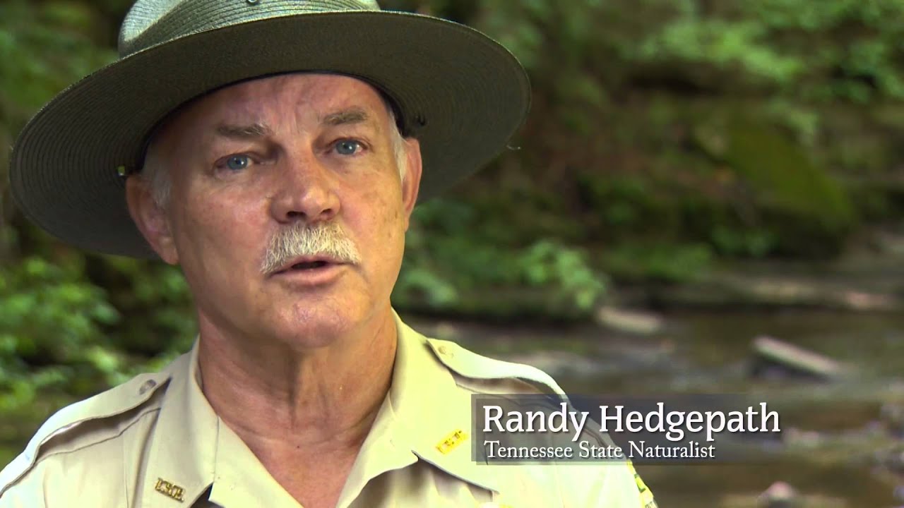 Wild SideTV - Montgomery Bell State Park - A Shelter for the Soul