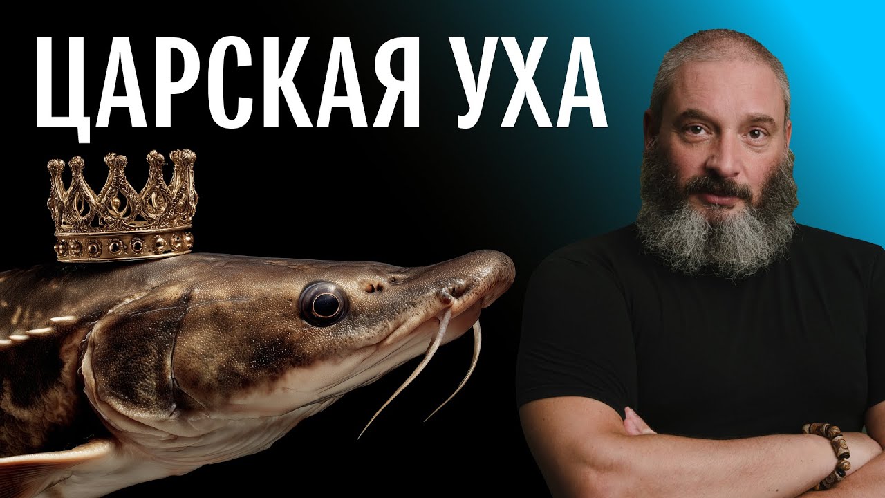 Осетровая уха с солеными груздями + груздевая закуска. Михаил Вишневский