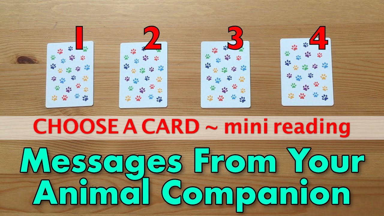 🔮MESSAGES FROM YOUR ANIMAL COMPANION/PET ~ Mini pick-a-card reading 🐈🐕🐎🐰🦜