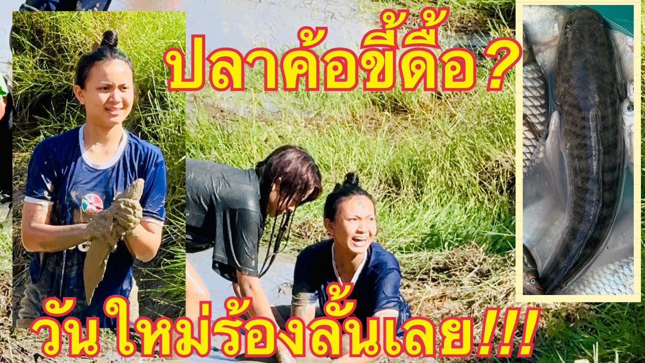 ตะลึง❗️ปลาค้อจะเข้าอะไร❓หมอลำเบบี้💥 #วันใหม่อนันตญา 