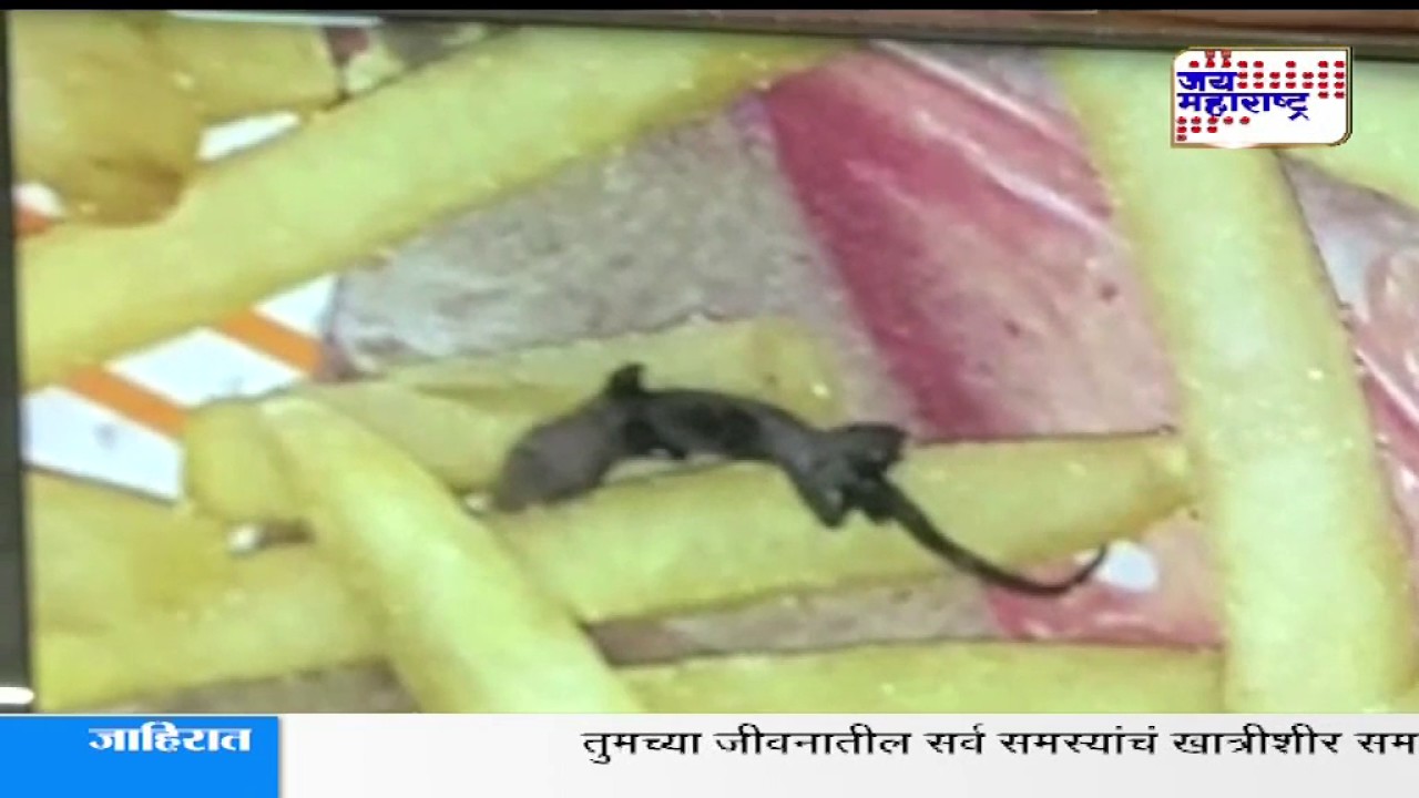Woman Finds Dead Lizard In French Fries At Kolkata McDonald's
