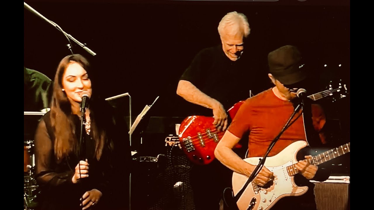 Lowdown - Stealin' Chicago Band