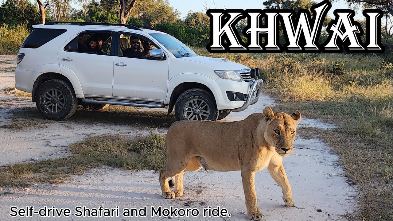 Khwai @ Mbudi Campsite # Self-Drive and Mokoro ride.
