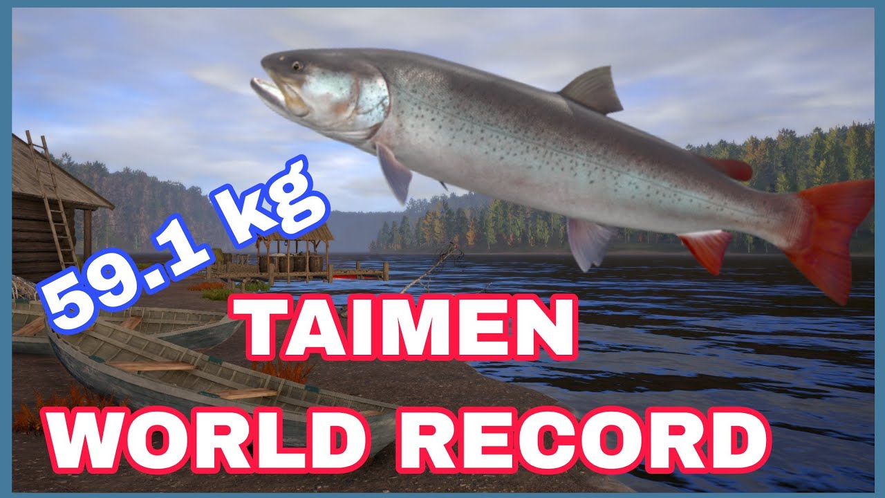 Taimen World Record- Lower Tunguska River-Russian Fishing 4 #rf4