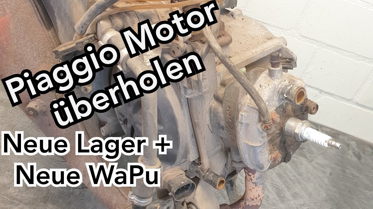 Piaggio 50cc Motor überholen | Neue Lager | Neue Wasserpumpe | Lilo Scooter Performance |